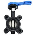 Legend Valve 10" T-365DI BUTTERFLY VALVE 116-658